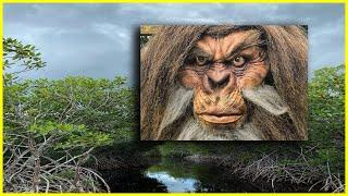 Top 10 Truly Creepy Things In Florida