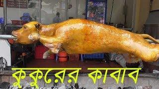 চিনের সবচেয়ে জঘন্য ১০ টি খাবার Part 02 Top 10 strange foods in china