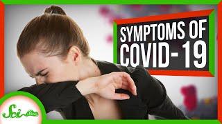 Is This Coronavirus, or Just Allergies? Symptoms of COVID-19