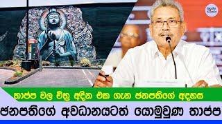 රටපුරා සිතුවම් වන තාප්ප ගැන ඡනපති කියපු කථාව - President talking about wall art