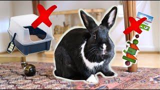 TOP 7 RABBIT PRODUCTS YOU SHOULD TRASH! | SPRING CLEANING