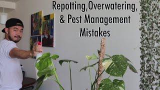 Houseplant Fails | How to Fix Indoor Plant Care Mistakes