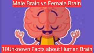 Top 10 Unknown Facts about Human Brain(Tamil)|Male Brain vs Female Brain