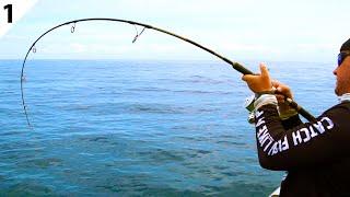 GIANT Yellowtail Kingfish & Snapper w/ Catch Fishing Tackle -- #FieldTrips New Zealand Ep 1