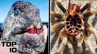 Top 10 Disturbing Things You Will See For The First Time In Life