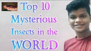 Top 10 Mysterious Insects in the world tamil || Watch till End guys