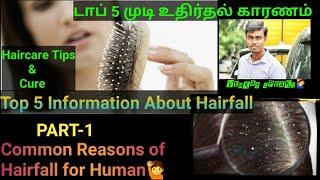 //Hairfall Common|Reasons For Human|Top 5 Information|முடி உதிர்தல் காரணம் 2021 in Tamil