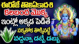 తొలిఏకాదశిన కలబంద మొక్క ఇంట్లో అక్కడ ఉంటె నక్కతోక తొక్కినట్టే వద్దన్నా డబ్బే డబ్బు | Kalabanda Mokka