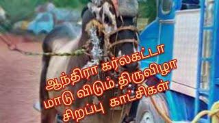 TOP 5  ஆந்திரா கர்லகட்டாவில் கலக்கிய காளைகள் 01/12/2019