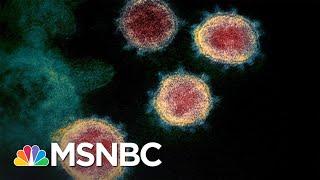 U.S. Coronavirus Death Toll Is Now Higher Than 9/11 Terror Attacks | The 11th Hour | MSNBC