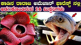 Top 10 Amazing facts about Amazon Forest in kannada #Top10AmazingFactsInkannada || True Kannada Tv