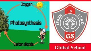 Global School Gurgaon | Best School In New Palam Vihar | Oxygen Cycle | Top 10 Schools In Gurgaon