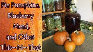 Pie Pumpkins, Blueberry Mead, and Other This~N~That