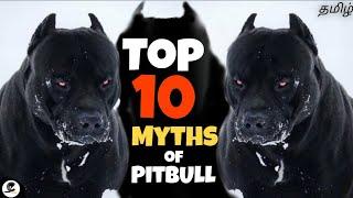 Top 10 Myths and facts of PITBULL | strong | aggressive | dangerous dog