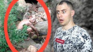 10 FENOMENE PARANORMALE, SURPRINSE DE CAMERA VIDEO! #2