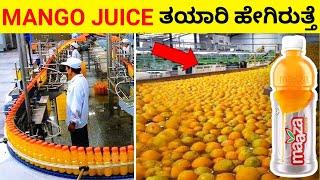 Top 12 Interesting And Amazing Facts In Kannada | Unknown Facts | Episode No 02 | InFact Kannada