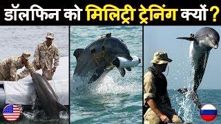 डॉल्फिन को ट्रेनिंग क्यों देते है? Why US/Russia train Dolphin and 15 Other interesting fact | EP-10