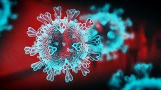 Top 10 Ways Coronavirus Will Change Your Life Forever