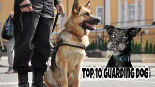 World best top 10 guarding dog - Dog Market