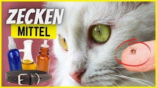 Top 10 Mittel gegen Zecken bei Katzen – Was wirkt wirklich?