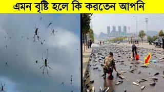 দুনিয়ার সবচেয়ে ভয়ংকর ৫টি বৃষ্টি !! 5 Most Unusual Rains In Bangla