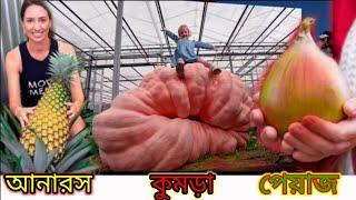 বিশ্বের ইতিহাসে সেরা ১০ টি আবাক করা ফল top 10 amazing fruit in the word history