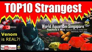 TOP10 Strangest Aquatic & Animals in the World Compilation Updated