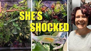 my BIRTH MOM reacts to my REPTILE ROOM! | Reptile Q&A