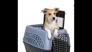 Petmate Two Door Top Load pet carrier airline approved