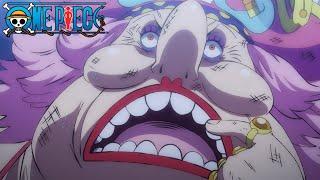 Big Amnesia | One Piece