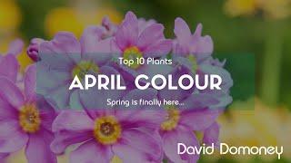 Top 10 Plants For Your Garden In April