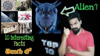 Top 10 Interesting and Amazing Facts in Telugu | By Alonewalker | Unknown Facts | EP#6