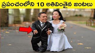 Top 10 Amazing couples in the world | BMC facts | Telugu