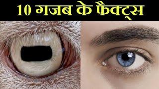 ये नही जानते हो आप / 10 Most Amazing Facts In Hindi / Top 10 Amazing And Shocking Facts In Hindi