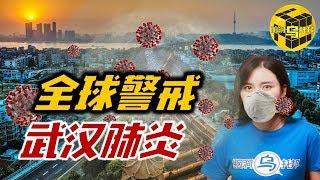 武汉肺炎源头分析 史上重大疫情数据对比 从治愈案例中可以看出什么？ [脑洞乌托邦 | 小乌 | Mystery Stories TV]