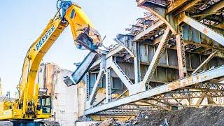 Top 10 Best Super Power Machines Show Time as Excavator, Cutting Tree Machines, Fire Trucks