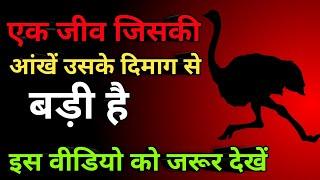 Interesting Random Facts in Hindi | Top 10 most amazing and interesting fun facts