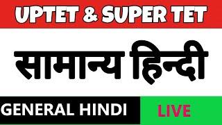 UPTET & SUPER TET// GENERAL HINDI// TOP QUESTIONS// STUDY POINT