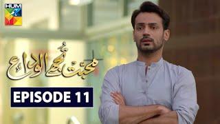 Mohabbat Tujhe Alvida Episode 11 HUM TV Drama 26 August 2020