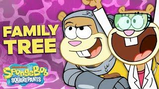 The SANDY CHEEKS Family Tree 