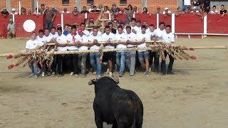 1 सांड Vs 30 इंसान ! कौन, किसपे और कितना पड़ा भारी? Top 5 Most Amazing Competitions in the World.