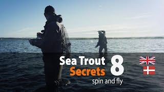 Sea Trout Secrets 8 spin and fly