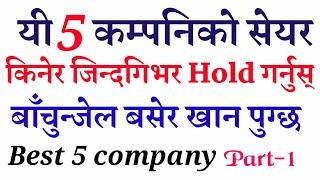 यी 5 कम्पनीको सेयर किनेर सधैं hold गर्नुस मालामाल बन्नुहुन्छ |Best 5 company Share in Nepal | part-1