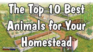 The Top 10 Best Animals for Your Homestead | RangerRob Country Living