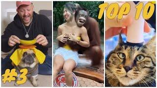 TOP-10 Most funny animals videos of the week (cats, dogs, kittens) try not to laugh (Compilation #3)