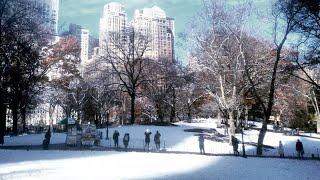 NEW YORK CITY 2019: CENTRAL PARK is SNOW COVERED! [4K]