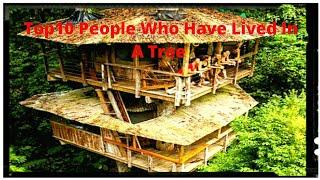 Top 10 People Who Have Lived In A Tree