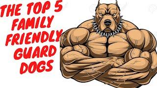Top 5 most family friendly guard dogs - DogCast TV S01E06  Best guard dogs for family protection.