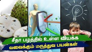 சீத்தா பழம் சாப்பிடுவதால் நன்மைகள் | Top 10 Health Benefits Of Custard Apple Tamil