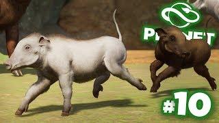 Making Albino Babas!!! - Planet Zoo | Ep10 HD